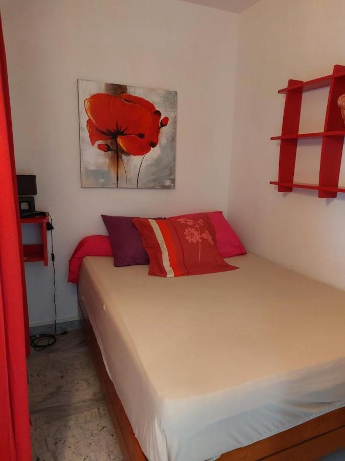 Ajaccio Sanguinaires Appt 3 P Pour 4 A 5 Personnes Ttes Commodites Tt Confort ! A 300M Des Plages Et A 5 Mn Du Centre Ville Luaran gambar